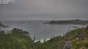 ./images/calvert/foggy-cove/20250717/foggy-cove20250717_100509M.jpg