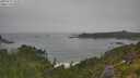 ./images/calvert/foggy-cove/20250717/foggy-cove20250717_101009M.jpg