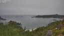 ./images/calvert/foggy-cove/20250717/foggy-cove20250717_101508M.jpg