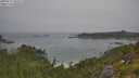 ./images/calvert/foggy-cove/20250717/foggy-cove20250717_102509M.jpg
