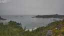 ./images/calvert/foggy-cove/20250717/foggy-cove20250717_103510M.jpg