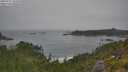 ./images/calvert/foggy-cove/20250717/foggy-cove20250717_105010M.jpg