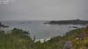 ./images/calvert/foggy-cove/20250717/foggy-cove20250717_105509M.jpg