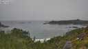 ./images/calvert/foggy-cove/20250717/foggy-cove20250717_111510M.jpg
