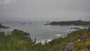 ./images/calvert/foggy-cove/20250717/foggy-cove20250717_115009M.jpg