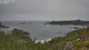 ./images/calvert/foggy-cove/20250717/foggy-cove20250717_124510M.jpg