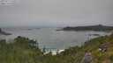 ./images/calvert/foggy-cove/20250717/foggy-cove20250717_140509M.jpg