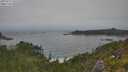 ./images/calvert/foggy-cove/20250717/foggy-cove20250717_141510M.jpg