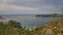 ./images/calvert/foggy-cove/20250717/foggy-cove20250717_150011M.jpg