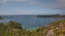 ./images/calvert/foggy-cove/20250717/foggy-cove20250717_154509M.jpg