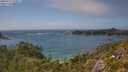 ./images/calvert/foggy-cove/20250717/foggy-cove20250717_160011M.jpg