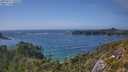 ./images/calvert/foggy-cove/20250717/foggy-cove20250717_160510M.jpg
