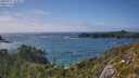 ./images/calvert/foggy-cove/20250717/foggy-cove20250717_163011M.jpg