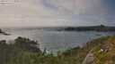 ./images/calvert/foggy-cove/20250717/foggy-cove20250717_173010M.jpg
