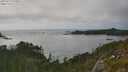 ./images/calvert/foggy-cove/20250717/foggy-cove20250717_174511M.jpg