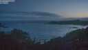 ./images/calvert/foggy-cove/20250718/foggy-cove20250718_045508M.jpg