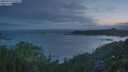 ./images/calvert/foggy-cove/20250718/foggy-cove20250718_050508M.jpg