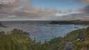 ./images/calvert/foggy-cove/20250718/foggy-cove20250718_072009M.jpg