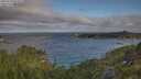 ./images/calvert/foggy-cove/20250718/foggy-cove20250718_073510M.jpg