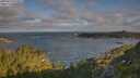 ./images/calvert/foggy-cove/20250718/foggy-cove20250718_074508M.jpg