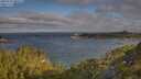 ./images/calvert/foggy-cove/20250718/foggy-cove20250718_080510M.jpg