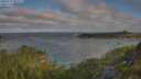 ./images/calvert/foggy-cove/20250718/foggy-cove20250718_081011M.jpg
