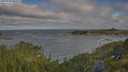 ./images/calvert/foggy-cove/20250718/foggy-cove20250718_081511M.jpg