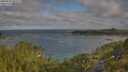./images/calvert/foggy-cove/20250718/foggy-cove20250718_082509M.jpg