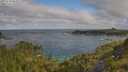 ./images/calvert/foggy-cove/20250718/foggy-cove20250718_085011M.jpg