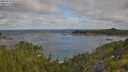 ./images/calvert/foggy-cove/20250718/foggy-cove20250718_090510M.jpg