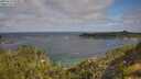 ./images/calvert/foggy-cove/20250718/foggy-cove20250718_094511M.jpg