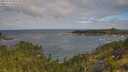 ./images/calvert/foggy-cove/20250718/foggy-cove20250718_095510M.jpg