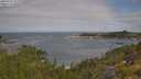 ./images/calvert/foggy-cove/20250718/foggy-cove20250718_101010M.jpg