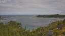 ./images/calvert/foggy-cove/20250718/foggy-cove20250718_101509M.jpg