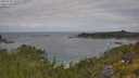 ./images/calvert/foggy-cove/20250718/foggy-cove20250718_103508M.jpg