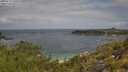 ./images/calvert/foggy-cove/20250718/foggy-cove20250718_105010M.jpg