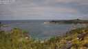 ./images/calvert/foggy-cove/20250718/foggy-cove20250718_105506M.jpg