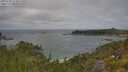 ./images/calvert/foggy-cove/20250718/foggy-cove20250718_114008M.jpg