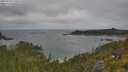 ./images/calvert/foggy-cove/20250718/foggy-cove20250718_115009M.jpg