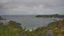 ./images/calvert/foggy-cove/20250718/foggy-cove20250718_115508M.jpg