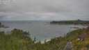./images/calvert/foggy-cove/20250718/foggy-cove20250718_120011M.jpg
