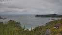 ./images/calvert/foggy-cove/20250718/foggy-cove20250718_120510M.jpg