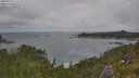 ./images/calvert/foggy-cove/20250718/foggy-cove20250718_122508M.jpg