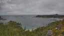 ./images/calvert/foggy-cove/20250718/foggy-cove20250718_123011M.jpg