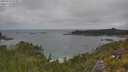 ./images/calvert/foggy-cove/20250718/foggy-cove20250718_124011M.jpg