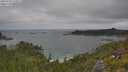 ./images/calvert/foggy-cove/20250718/foggy-cove20250718_124511M.jpg