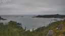 ./images/calvert/foggy-cove/20250718/foggy-cove20250718_133509M.jpg