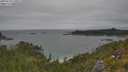 ./images/calvert/foggy-cove/20250718/foggy-cove20250718_135011M.jpg
