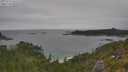 ./images/calvert/foggy-cove/20250718/foggy-cove20250718_141509M.jpg