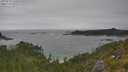 ./images/calvert/foggy-cove/20250718/foggy-cove20250718_145010M.jpg